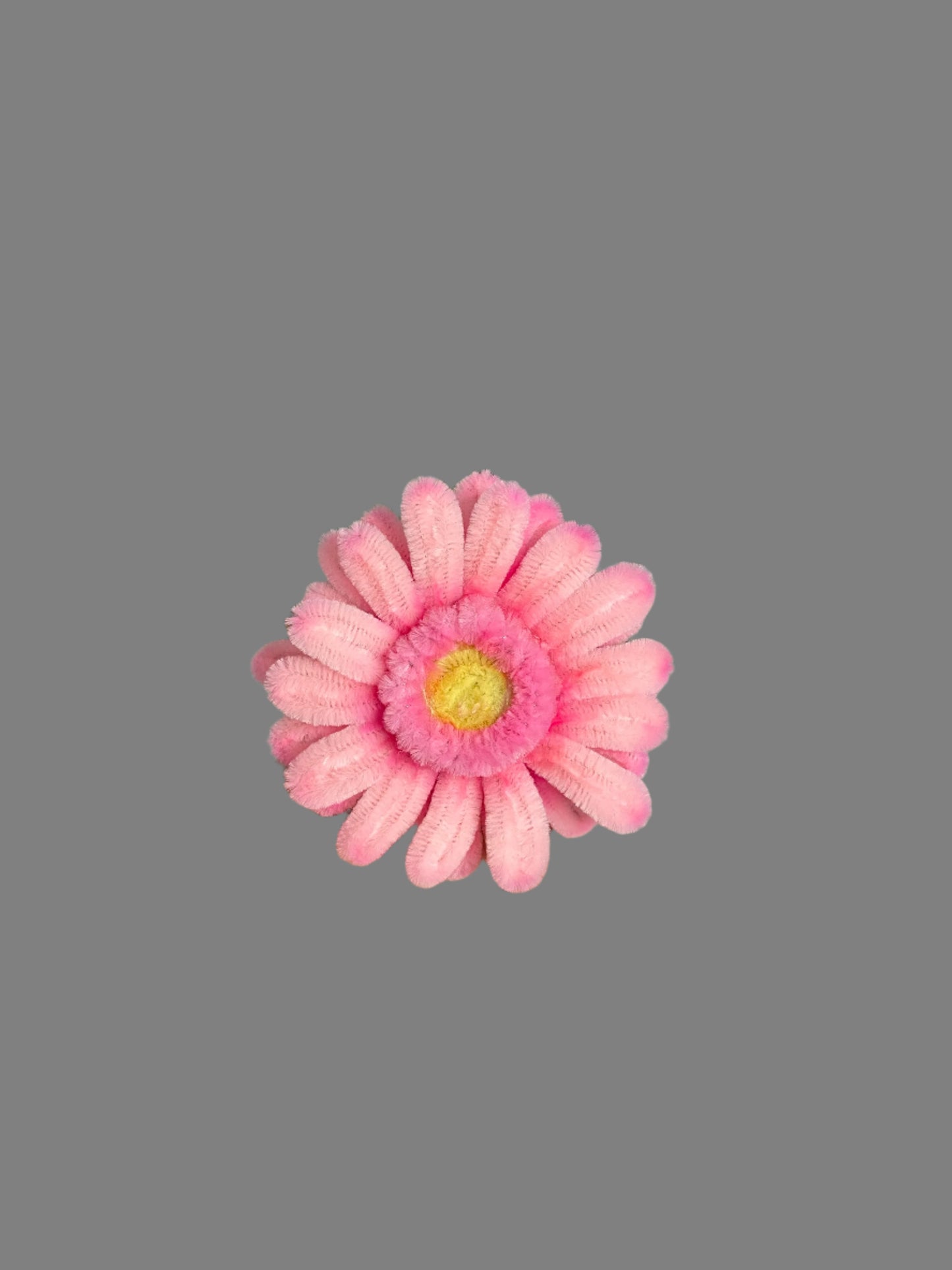 Gerbera Daisy Bouquet - Mixed Colour