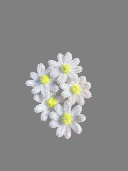 Daisy Bouquet