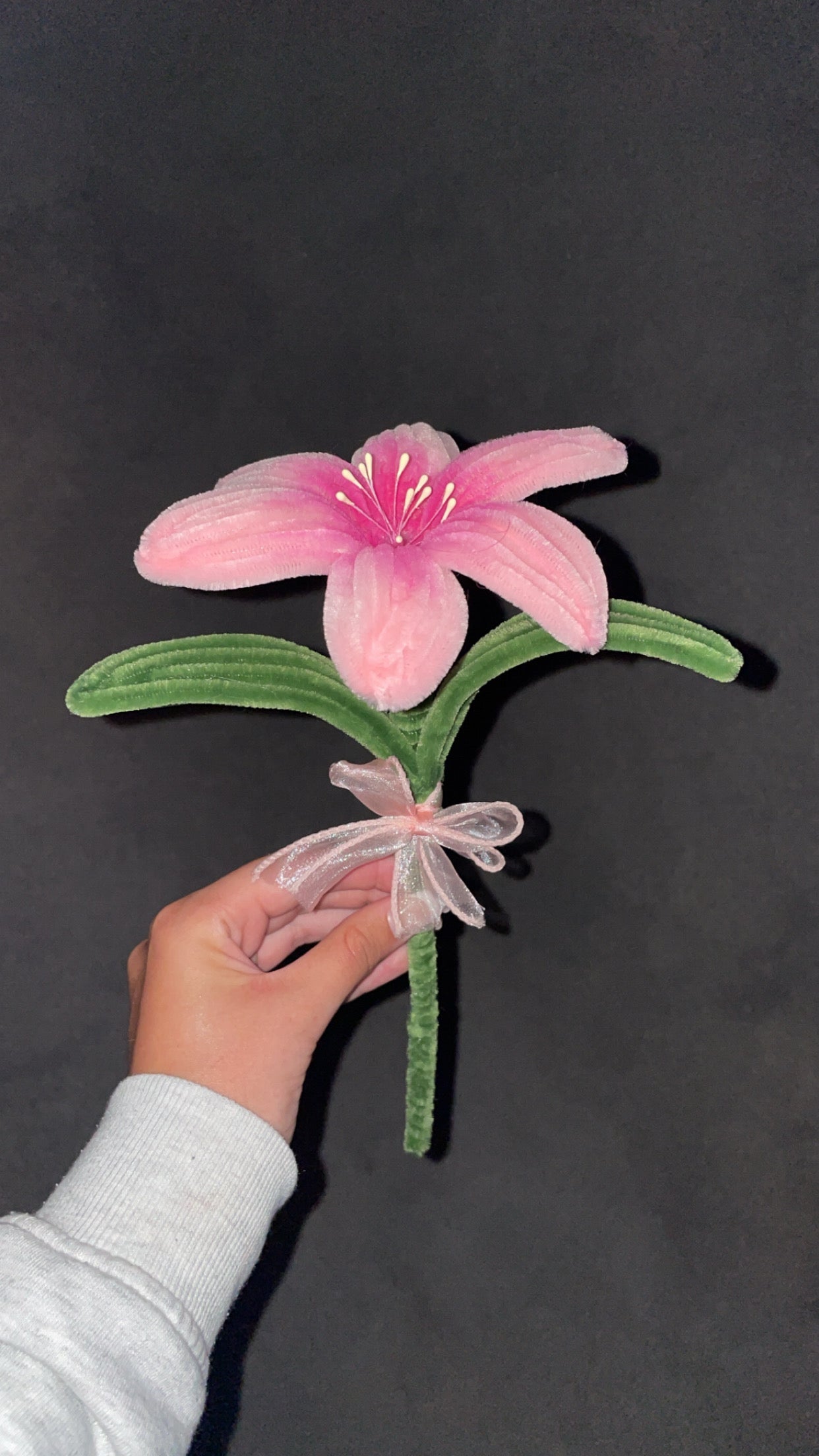 Singular Lily