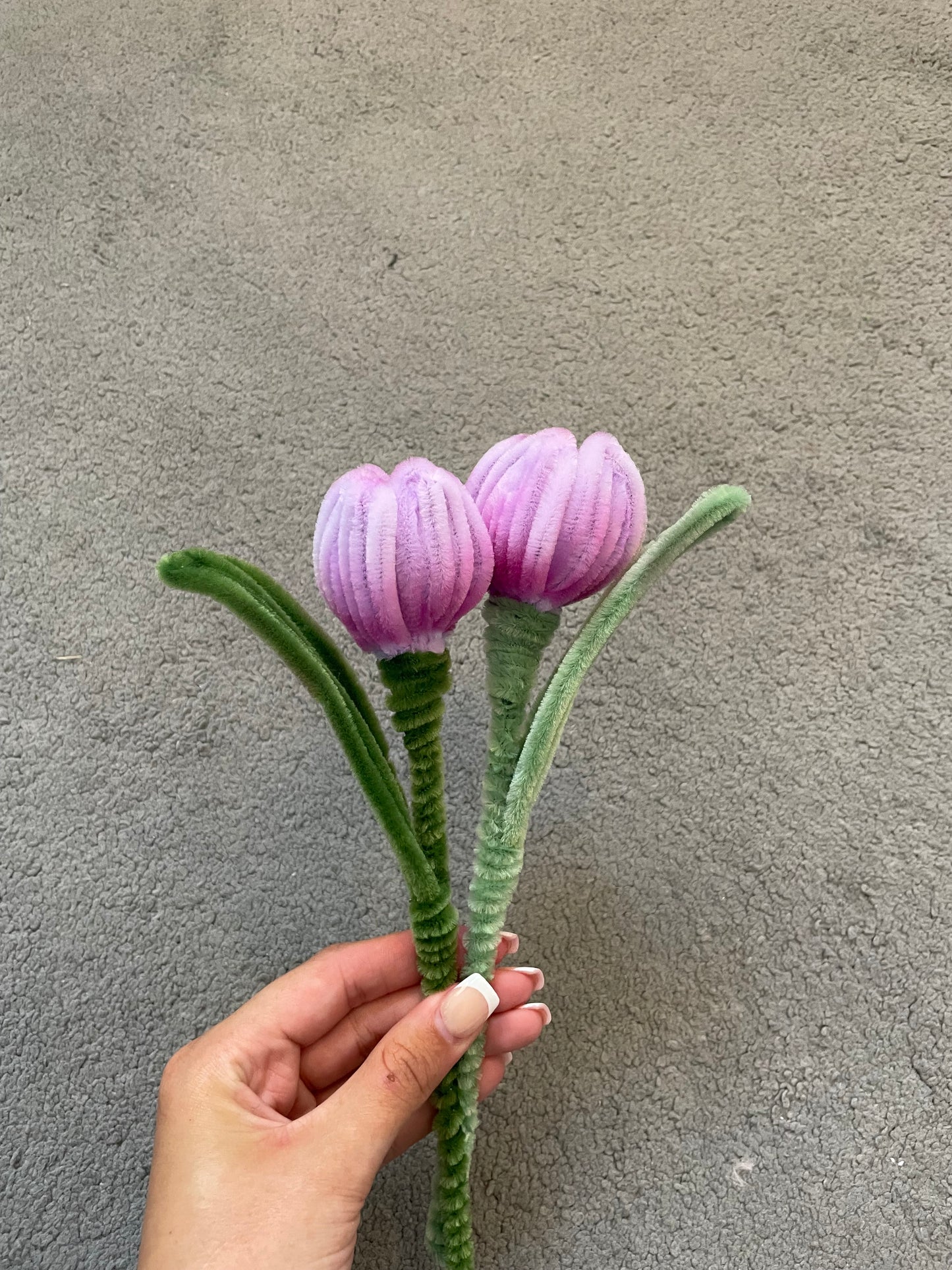 Build a Bouquet - Tulips