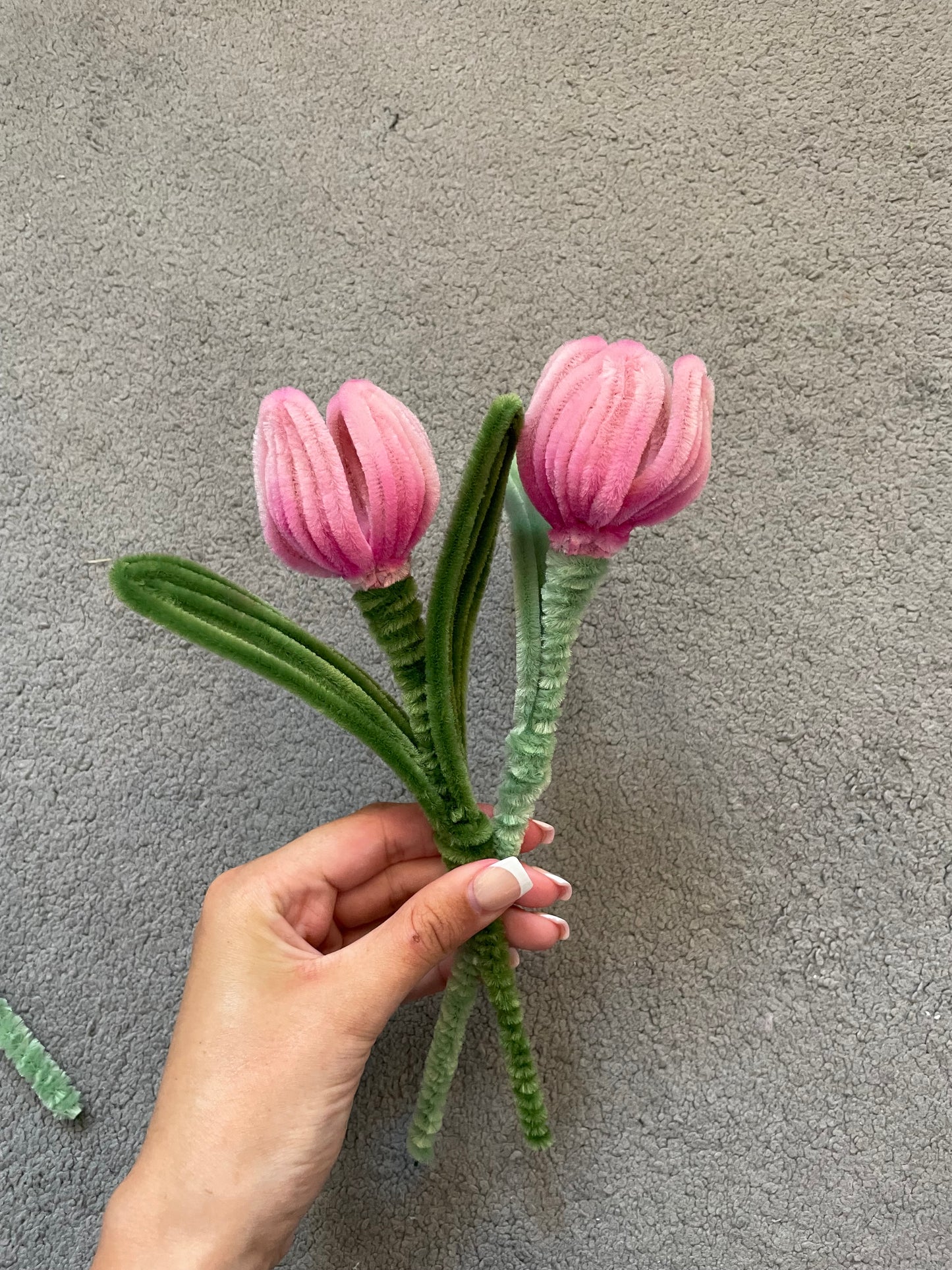 Build a Bouquet - Tulips