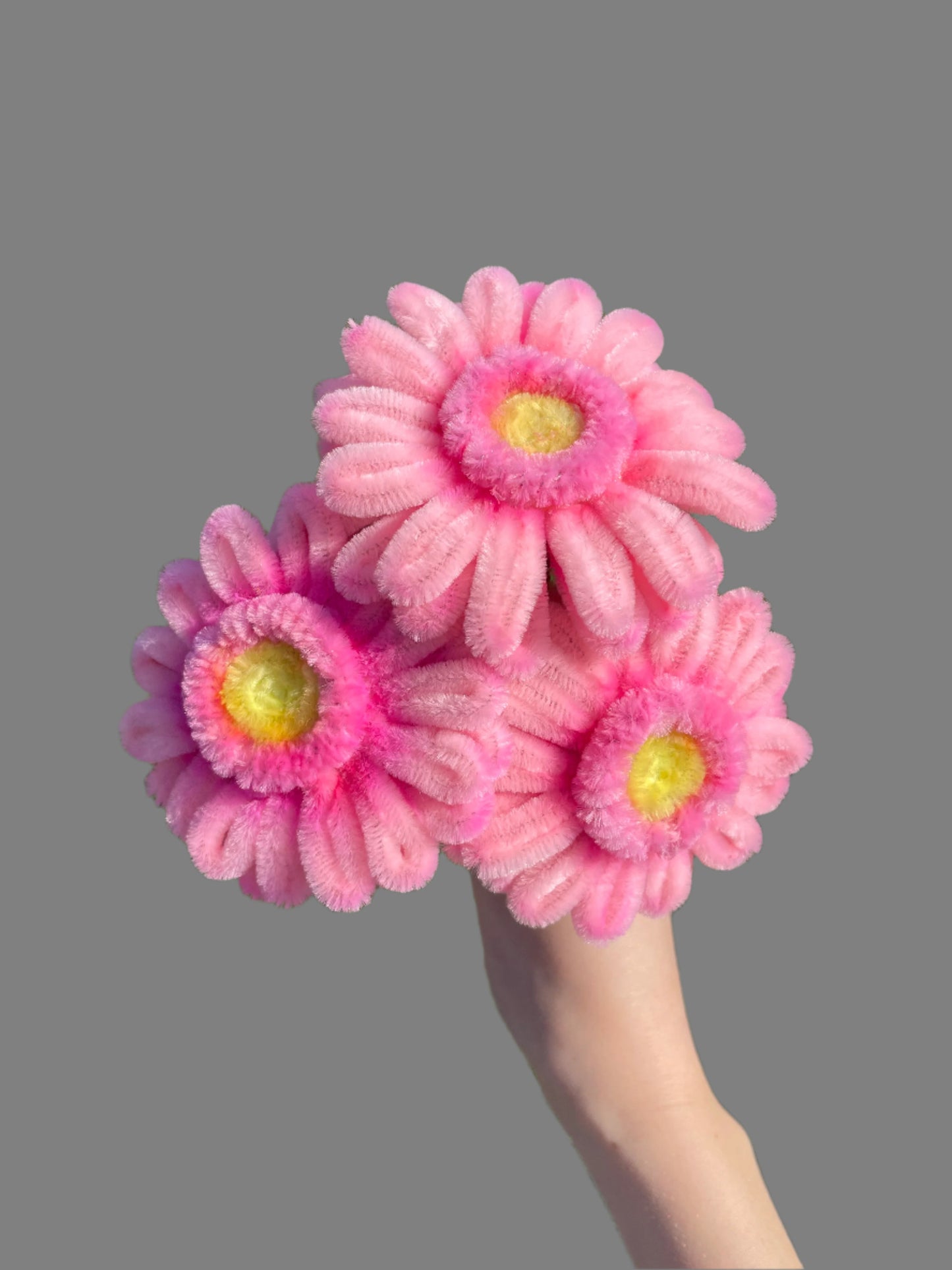 Gerbera Daisy Bouquet - Mixed Colour