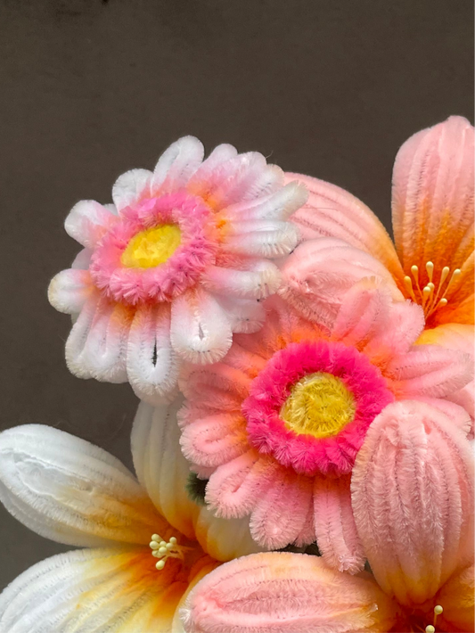 Gerbera Daisy Bouquet - Mixed Colour