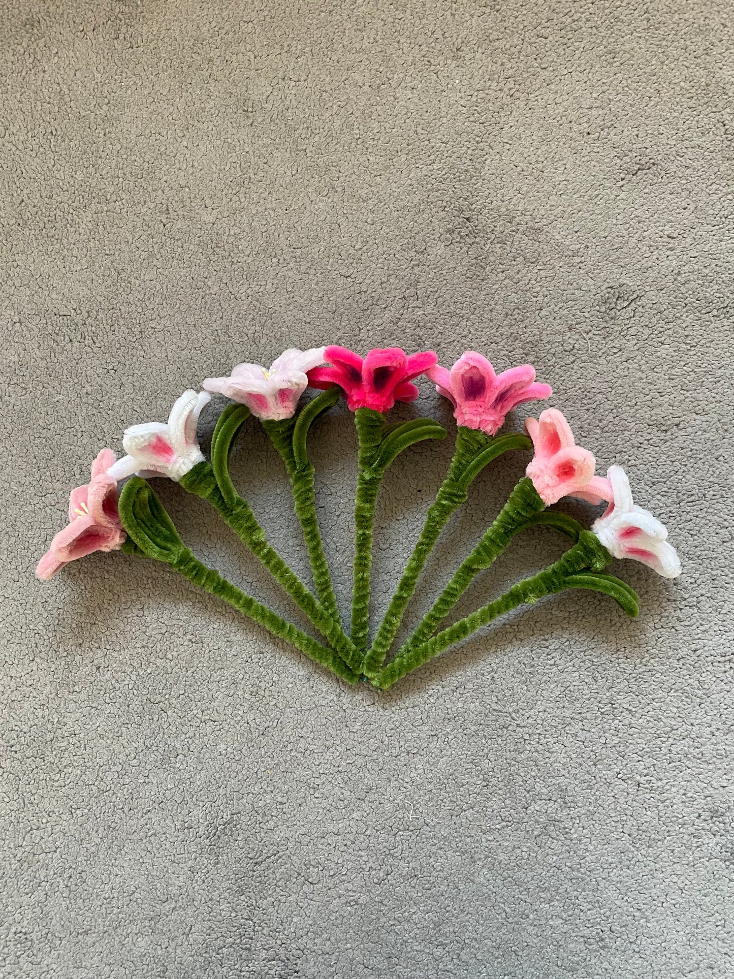 Singular Lily