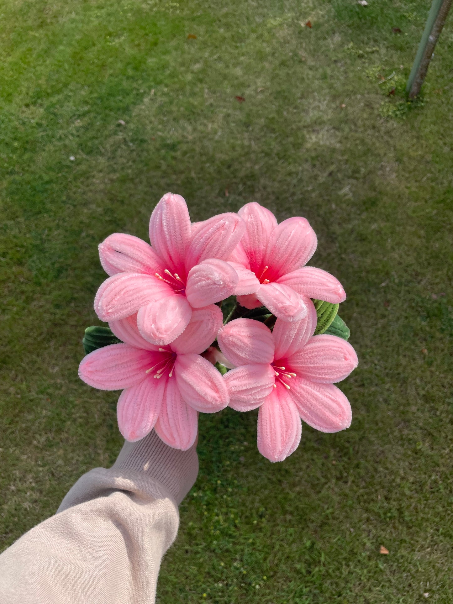 Lily Bouquet - Singular Colour