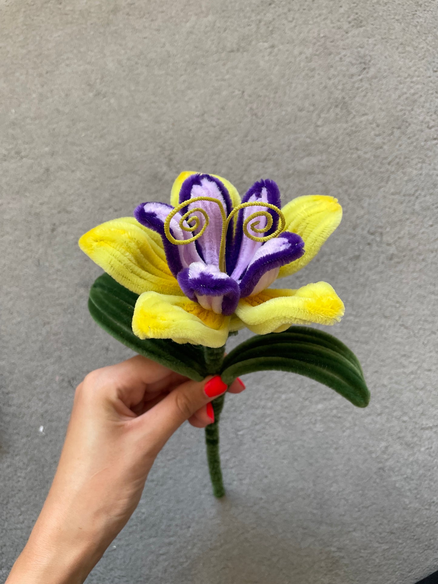 Tangled Flower